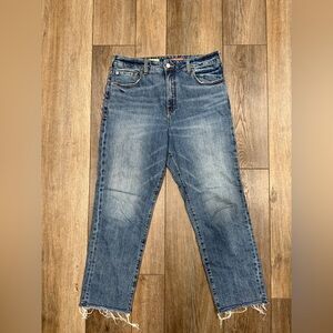 Anthropologie by Pilcro Women’s The Vintage Straight Medium Blue Denim Jeans 31